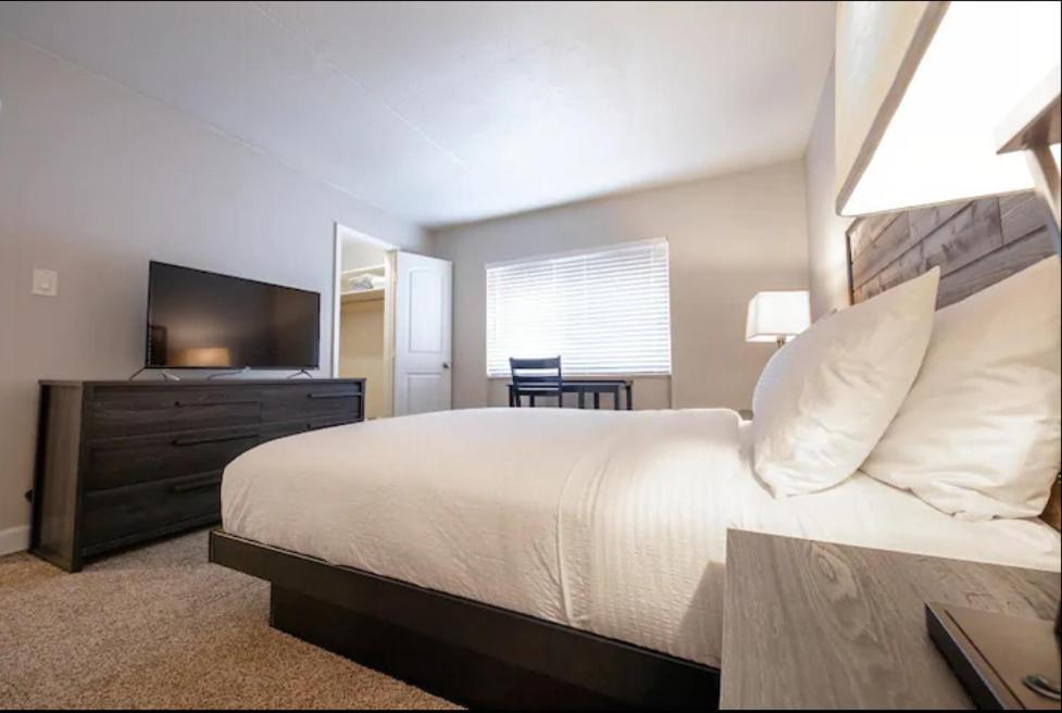 Modern Westshore Apartment 탬파 외부 사진