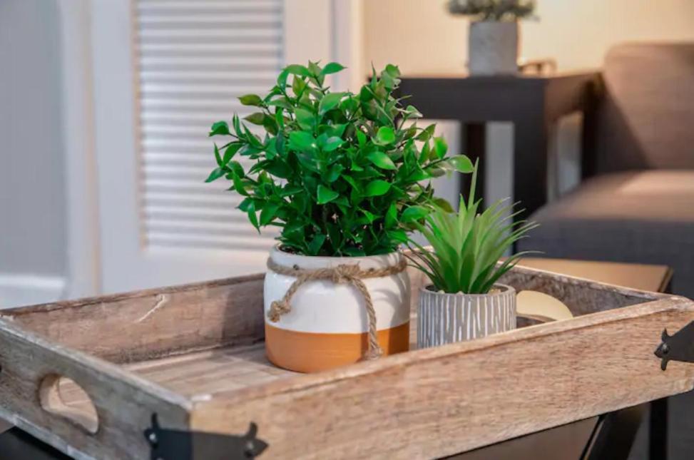 Modern Westshore Apartment 탬파 외부 사진
