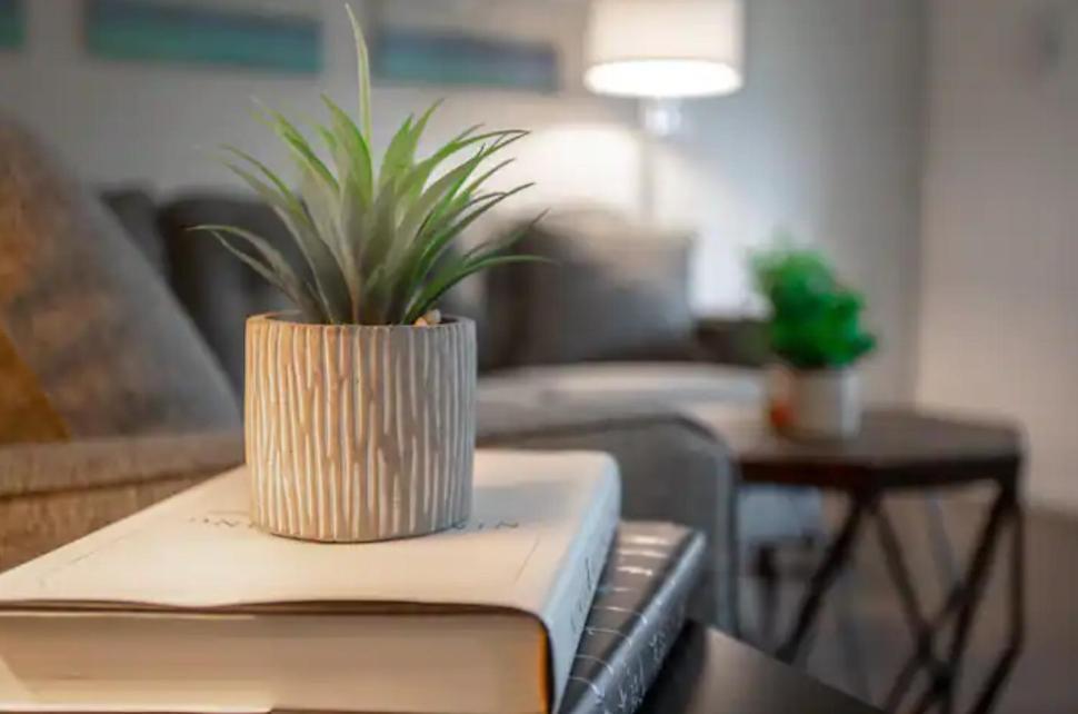 Modern Westshore Apartment 탬파 외부 사진